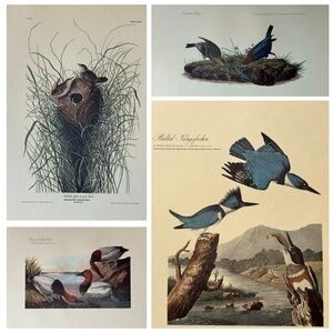 4 Audubon Bird Prints